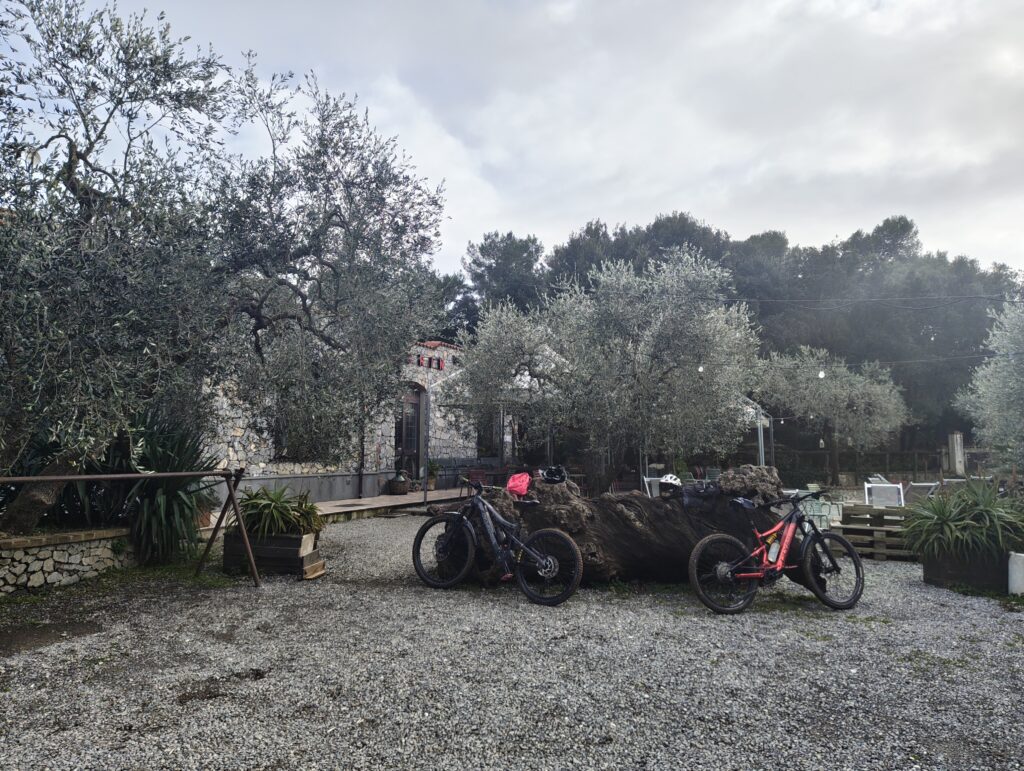 IMG 20260125 145212034